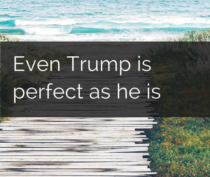Even Trump is perfect as he is