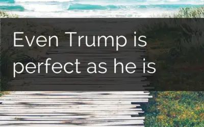 Even Trump is perfect as he is